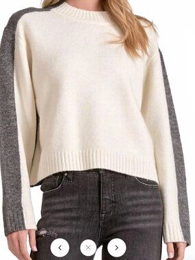 NWT Elan Colorblock Crewneck Sweater / L